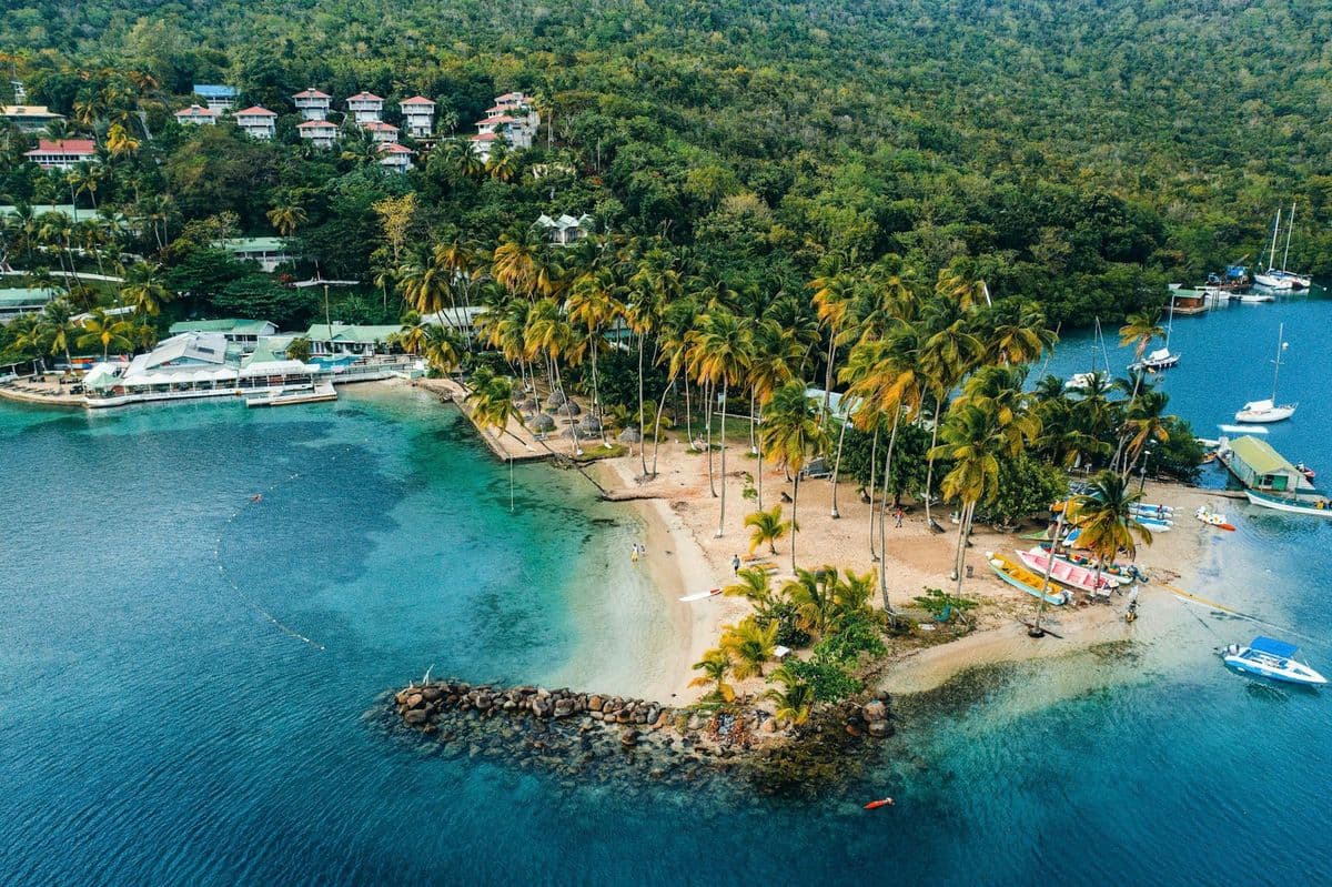 A tropical view of the Caribbean, with palm trees and a beach