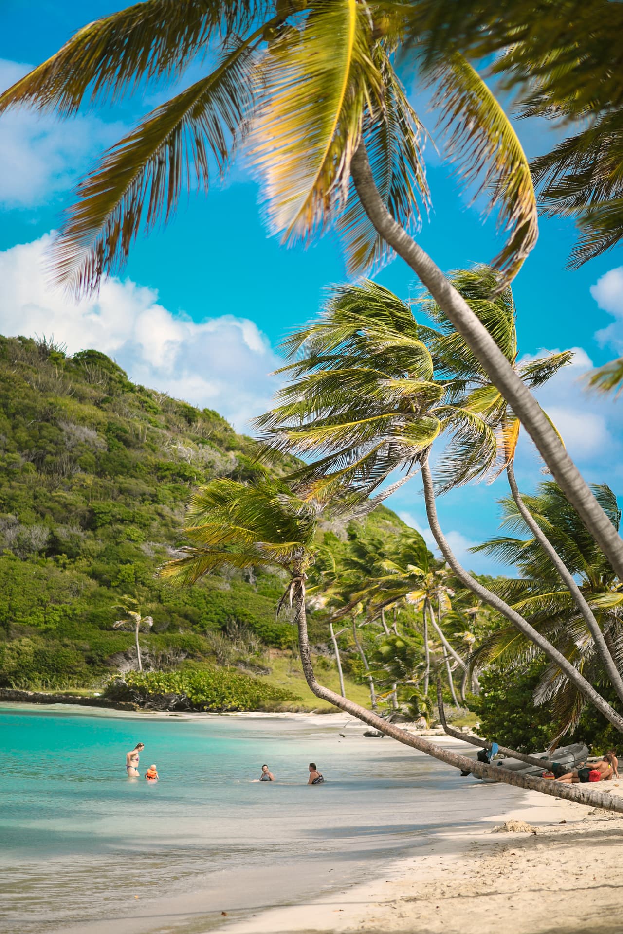 Beach in the Caribbean with palm trees and a family swimming in the water.