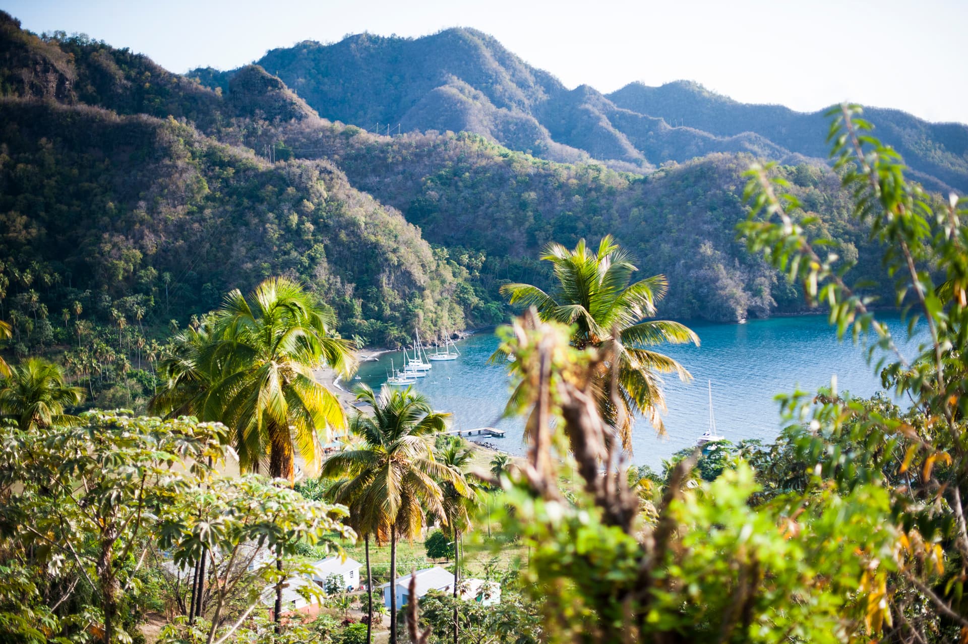 A tropical view of the Caribbean, with palm trees, mountains and a yacht  